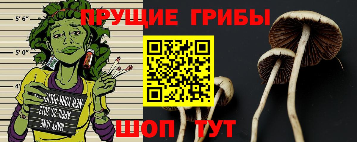 Галлюциногенные грибы GOLDEN TEACHER  Вход с VPN  Зеленокумск 